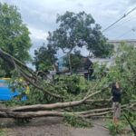 Dampak Angin Kencang di Malang yang Perlu Diketahui