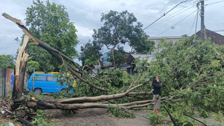 Dampak Angin Kencang di Malang yang Perlu Diketahui